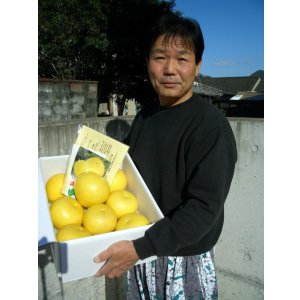 画像3: 高知県産　お買い得商品【お薦め温室ブンタン】　5ｋ入り　（自宅用）