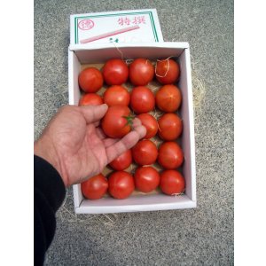 画像2: 果物の様な美味しいフルーツトマト　小箱１Ｋ入り【税込み・送料別】