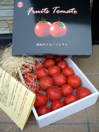 果物の様な美味しいフルーツトマト　小箱１Ｋ入り【税込み・送料別】