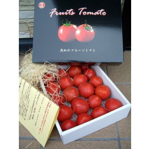 画像1: 果物の様な美味しいフルーツトマト　小箱１Ｋ入り【税込み・送料別】