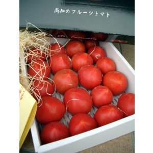 画像4: 果物の様な美味しいフルーツトマト　小箱１Ｋ入り【税込み・送料別】