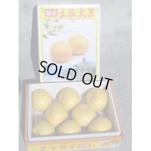 画像3: 【とくひろ屋お買い得商品】　温室ぶんたん　赤秀　5k入り