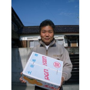 画像1: 香り豊なポンカン　【自宅用・贈答用】５Ｋ入り一箱　2,500円