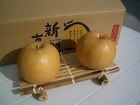 高知県の新高梨(にいたかなし)　　お買い得商品　7玉〜8玉入り 【自宅用】