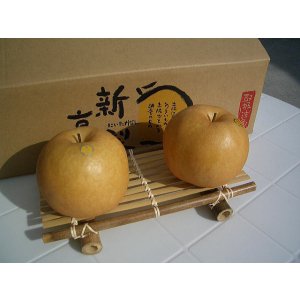 画像1: 高知県の新高梨(にいたかなし)　　お買い得商品　7玉〜8玉入り 【自宅用】