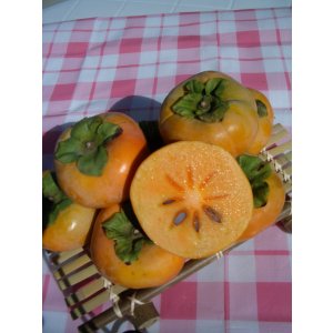 画像1: 高知県の甘柿　次郎柿　一箱８kg入り・4kg入り　【贈り物、自宅用】