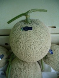 『お買い得商品』　わけあり　安価な温室メロンです