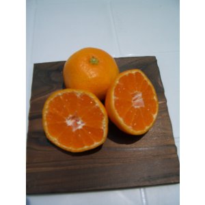 画像5: ほんとに美味しい高知県産　露地物山北　温州ミカン　【贈り物】【自宅】