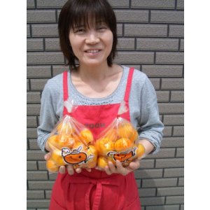 画像1: 土佐市産産　温室みかんの袋入りです（自宅用）８００ｇ入り