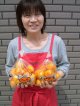 土佐市産産　温室みかんの袋入りです（自宅用）８００ｇ入り