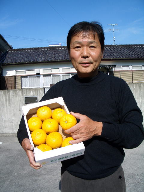 高知県産　本物の　【ゆず玉】　です （一箱　約1,5k・約 2ｋ入り）