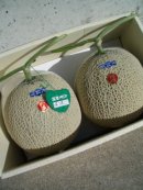 画像: 高知県の美味しいメロンです New !