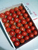 画像: 果物の様なトマト販売始めました　