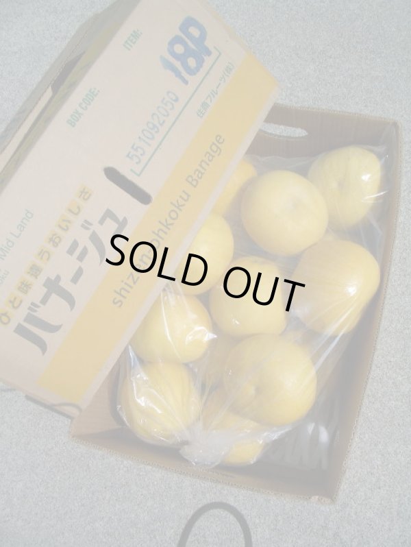 画像4: 2025年　高知県産　露地栽培　【わけあり文旦】　10ｋ　袋入り　（自宅用）