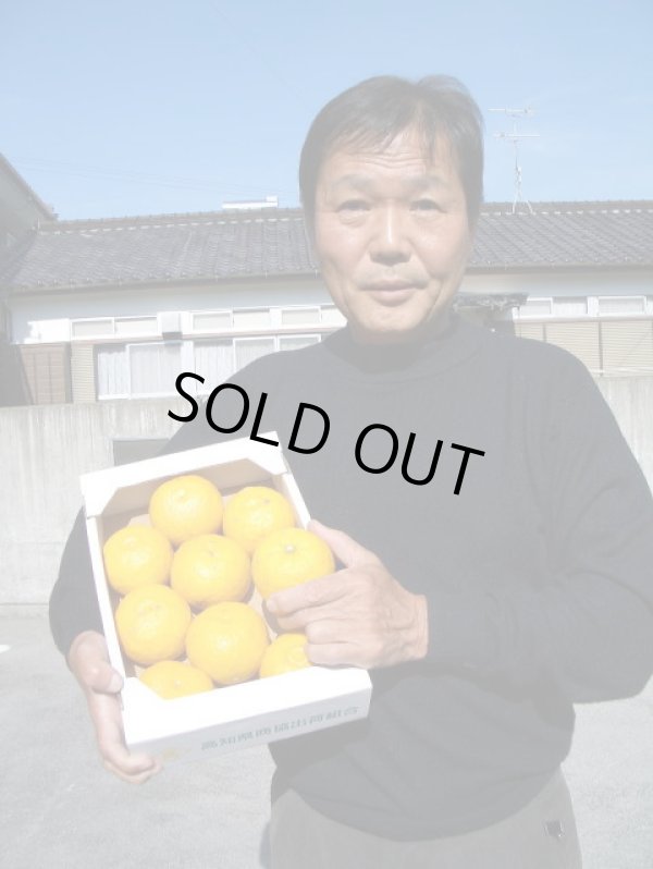画像5: 高知県産　本物の　【ゆず玉】　です （一箱・約 2ｋ入り）