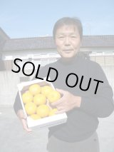 画像: 高知県産　本物の　【ゆず玉】　です （一箱・約 2ｋ入り）