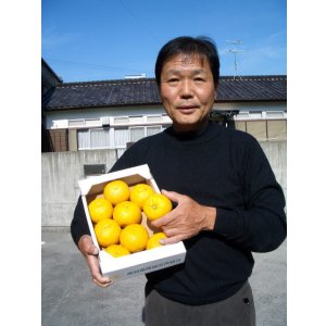 画像: 高知県産 本物の 【ゆず玉】 です (一箱・約 1,5k入り)