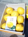 画像2: 【とくひろ屋お買い得商品】　温室ぶんたん　赤秀　5k入り