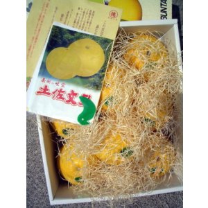 画像: 【特選文旦】 化粧箱入り 3Lサイズ 8玉入り