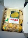 画像2: 【特選】最高の文旦です　【3Ｌサイズ　10キロ入り】