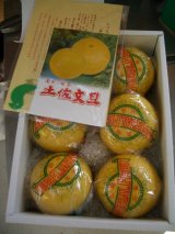 画像: 【最高級】高知県産　温室　ぶんたん　３Ｋ入り　贈答用・自宅用