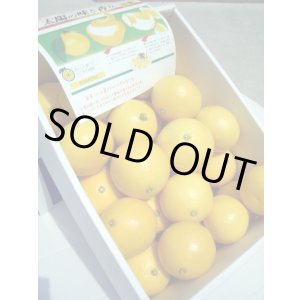 画像: とくひろ屋　【おまかせ　小夏】　5ｋ入り　5,000円【税込・送料別】　