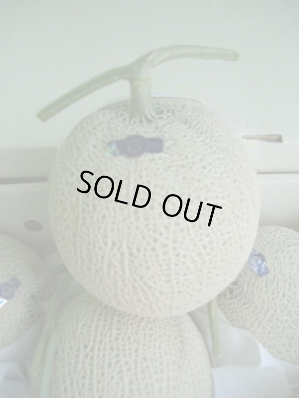 画像1: 『お買い得商品』　わけあり　安価な温室メロンです