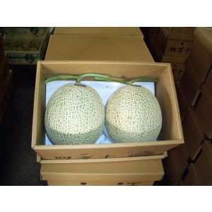 画像: 高知県産（自宅用・わけあり）　美味しいメロン　2玉入り　3,800円