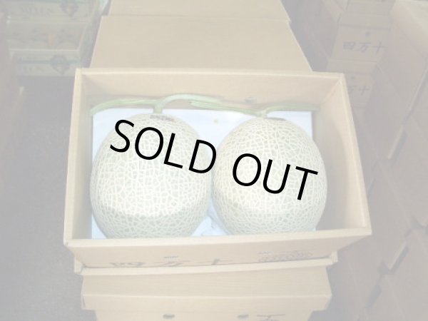 画像1: 高知県産（自宅用・わけあり）　美味しいメロン　2玉入り　3,800円
