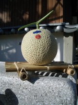 画像: 贈答用　とくひろ屋　メロン　２玉入りです【特選】