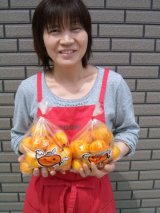 画像: 土佐市産産　温室みかんの袋入りです（自宅用）８００ｇ入り