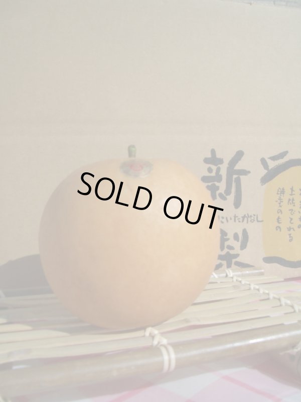 画像1: 高知の新高梨 　4キロ箱　4玉〜5玉入り。【贈答用】　