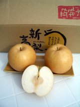 画像: 高知の新高梨　６玉入り　【贈答用】
