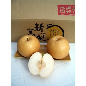 画像: 高知の新高梨　６玉入り　【贈答用】