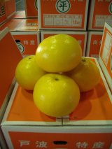 画像: 【おまかせ文旦】　10k入り　お薦め　とくひろ屋　