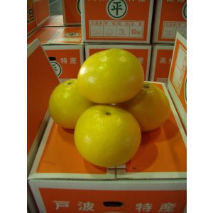 画像: 【おまかせ文旦】 10k入り お薦め とくひろ屋