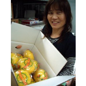 画像: 【特選】 土佐文旦 2Lサイズ 10k入り