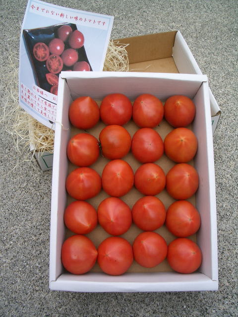 画像: 果物の様な美味しいフルーツトマト　小箱１Ｋ入り【税込み・送料別】