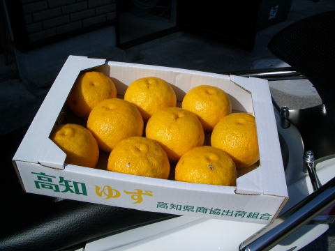 画像: 高知県産　本物の　【ゆず玉】　です （一箱・約 2ｋ入り）