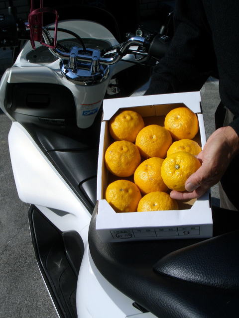 画像: 高知県産　本物の　【ゆず玉】　です （一箱・約 2ｋ入り）