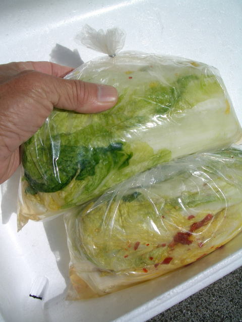 画像: 白菜の漬物　1袋　1ｋ入り