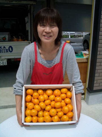 画像: 最高級　山北産【赤秀】オキツ早生　ハウスミカン十分な量5ｋ入り　お薦め品