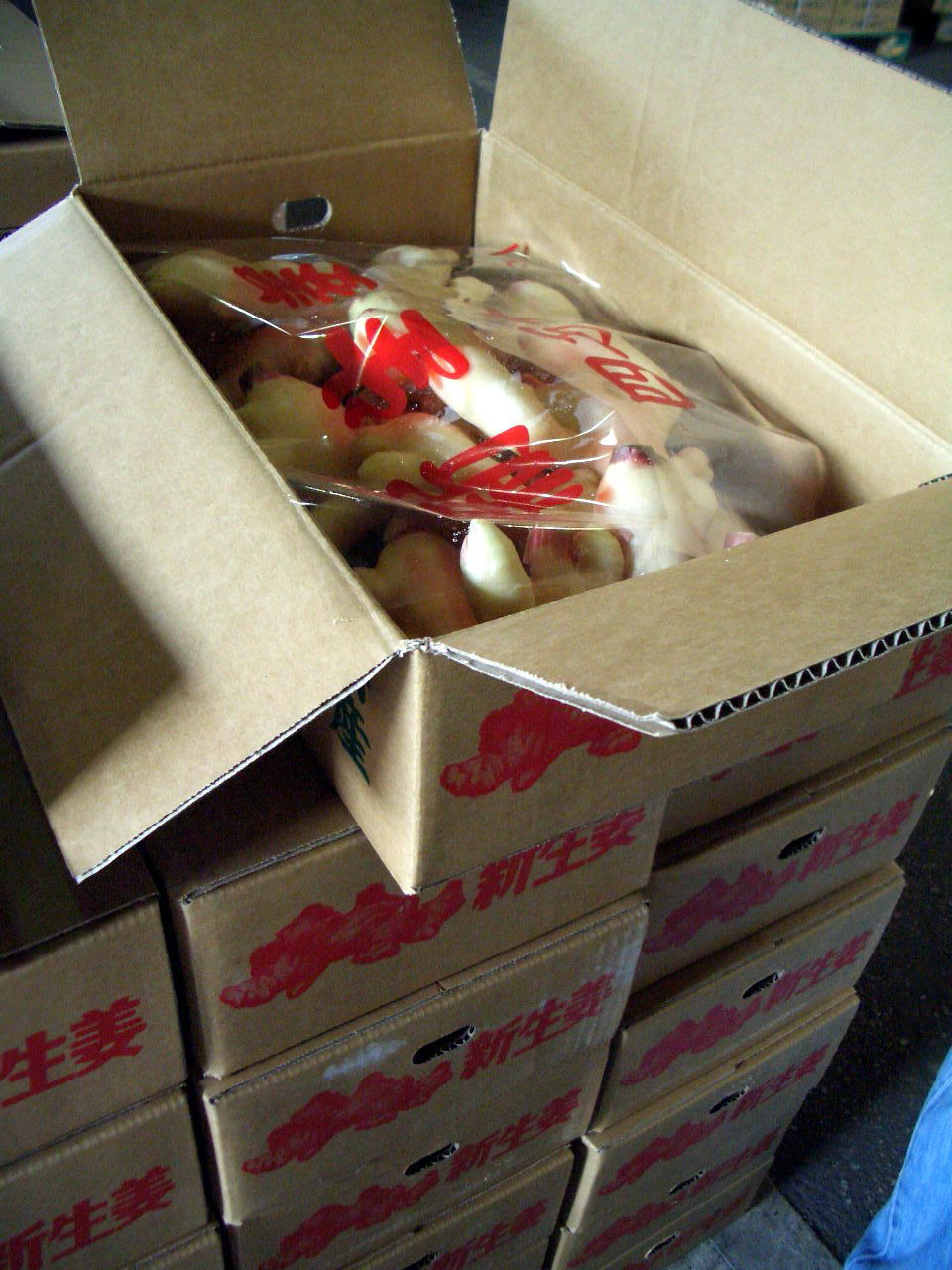画像: 高知県産ハウス栽培の新生姜　（Ａ品）  2ｋ・4ｋーわけあり新生姜４ｋ