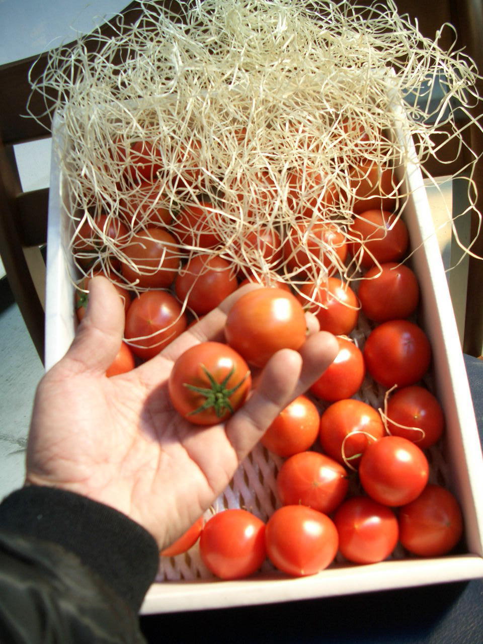 画像3: 果物の様なトマト「フルーツトマト」 ２Ｋ入り【税込み・送料別】　    